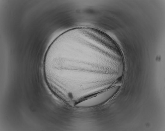 X0000094331440200711241819