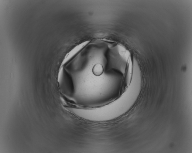 X0000094331441200711241819
