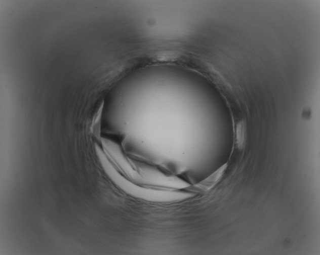 X0000094331443200711241819