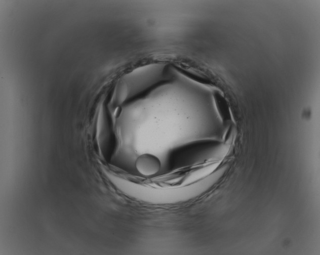 X0000094331445200711241819
