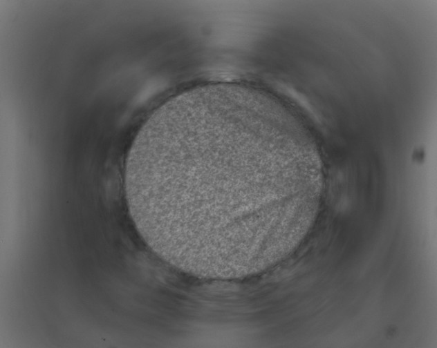 X0000094331446200711241819