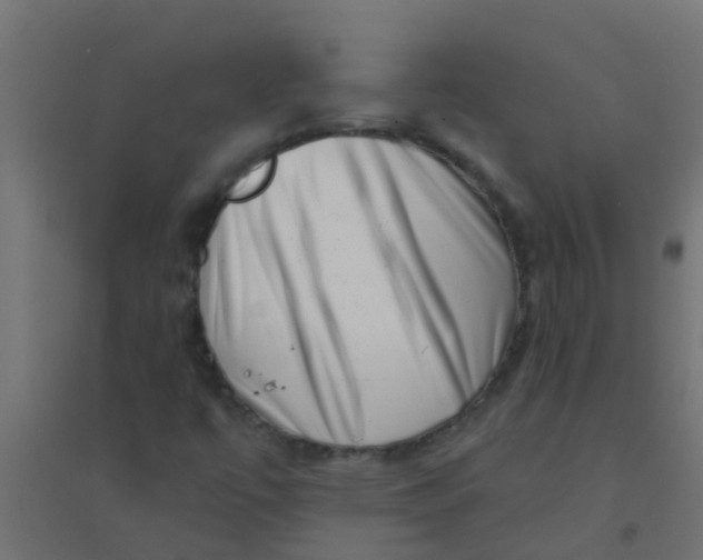 X0000094331447200711241819