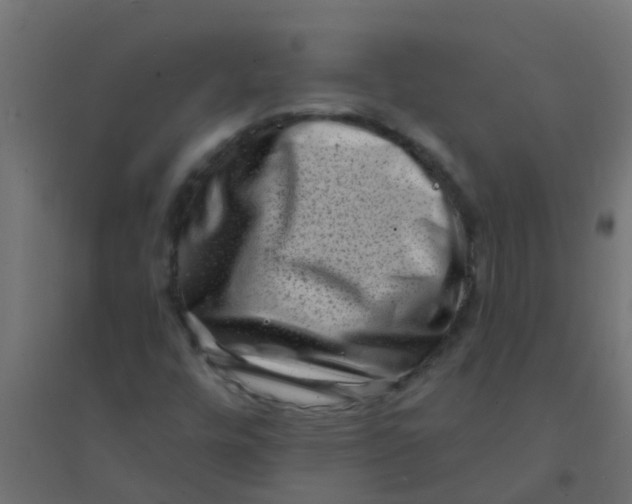 X0000094331448200711241819