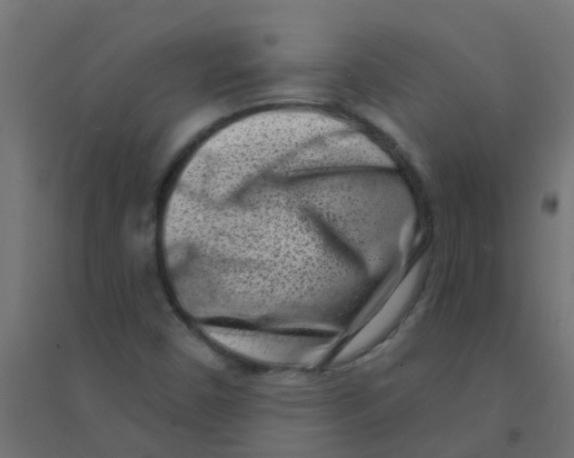X0000094331450200711241819