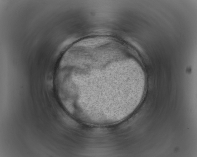 X0000094331451200711241819