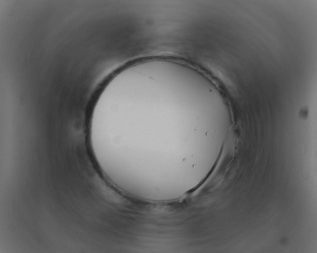 X0000094331452200711241819