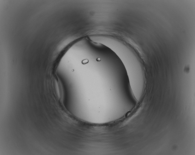 X0000094331453200711241819