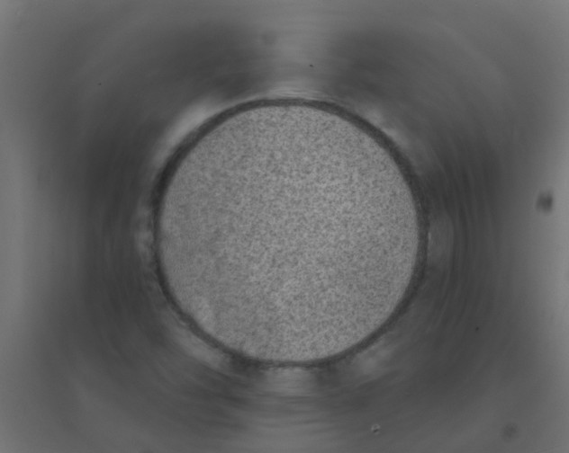 X0000094331454200711241819
