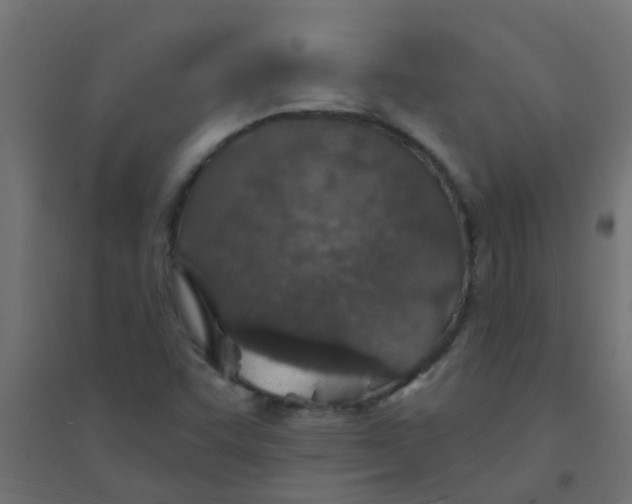 X0000094331455200711241819