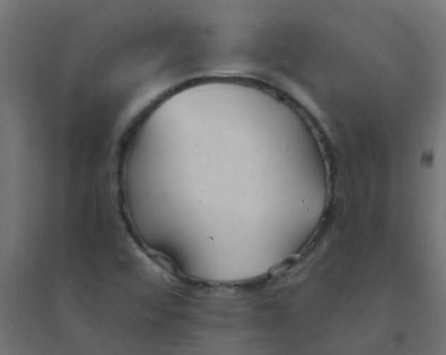 X0000094331456200711241819