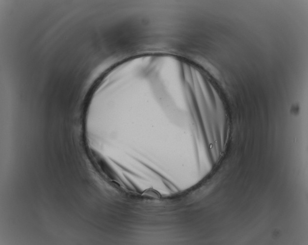 X0000094331458200711241818