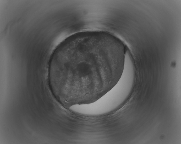 X0000094331459200711241818