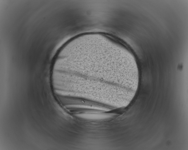 X0000094331460200711241818