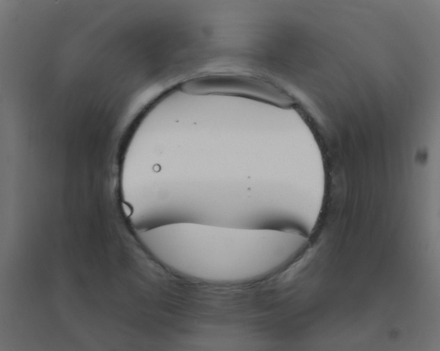 X0000094331461200711241818