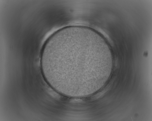X0000094331462200711241818