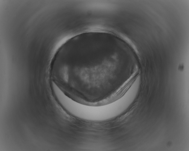 X0000094331463200711241818
