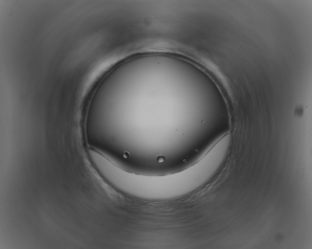 X0000094331464200711241818