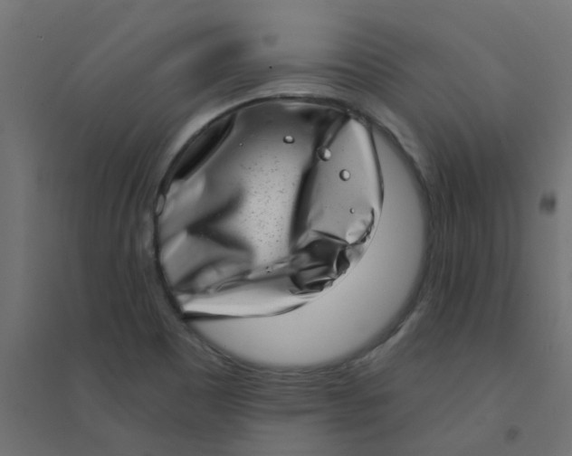 X0000094331465200711241818