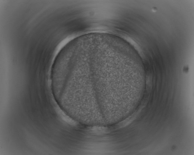 X0000094331466200711241818