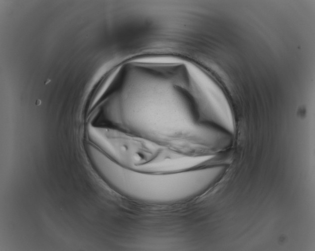 X0000094331467200711241818