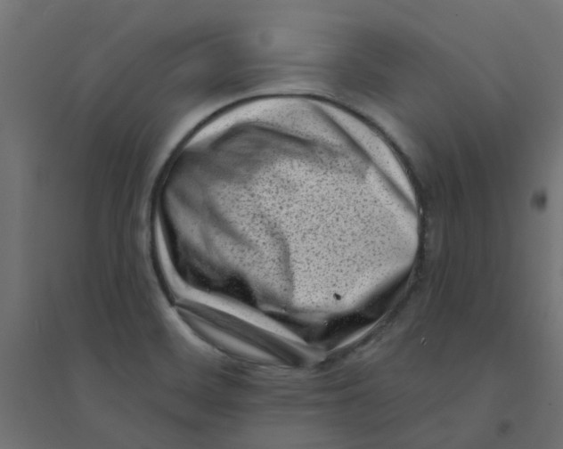 X0000094331468200711241818