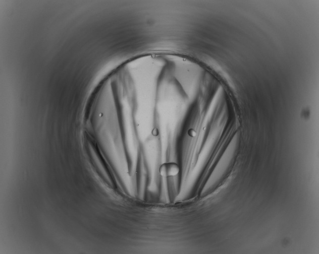 X0000094331469200711241818