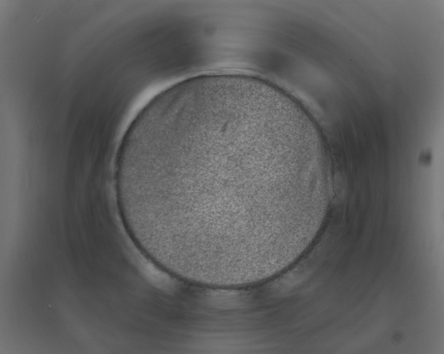 X0000094331470200711241818