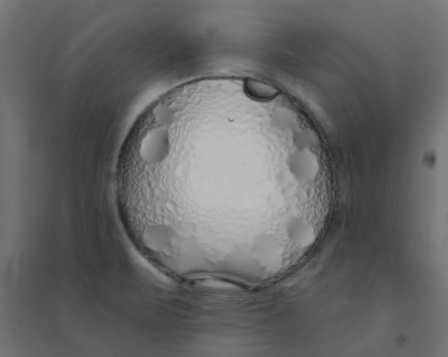 X0000094331471200711241818