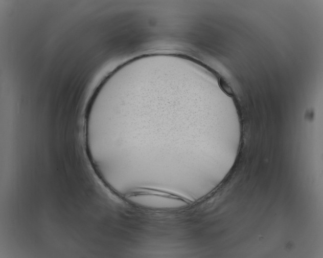 X0000094331472200711241818
