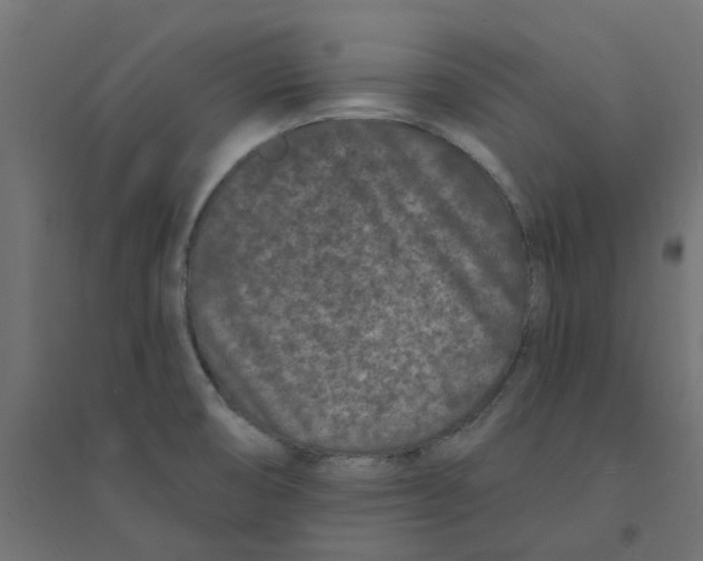 X0000094331474200711241818