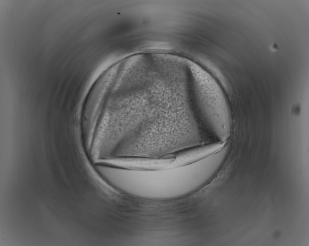 X0000094331475200711241818