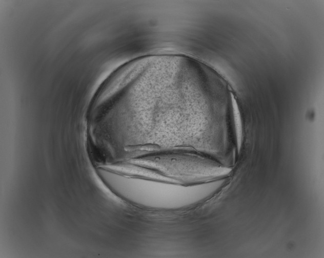 X0000094331476200711241818