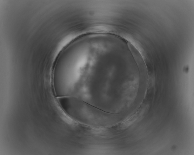 X0000094331477200711241818