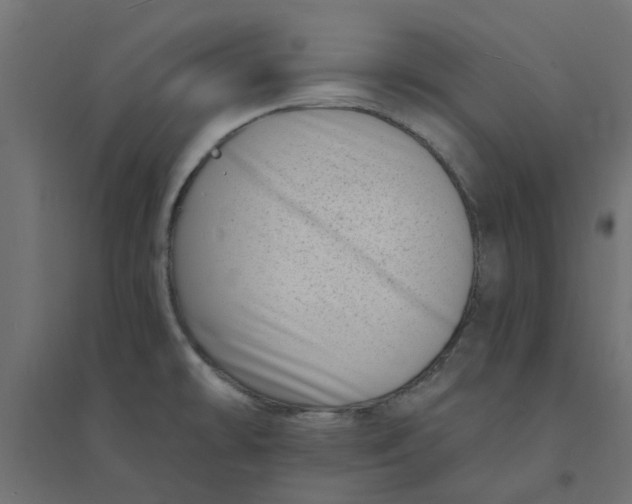 X0000094331478200711241818