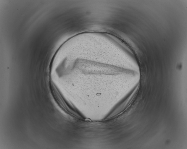 X0000094331479200711241818