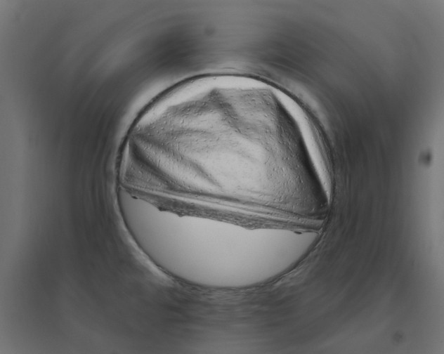 X0000094331480200711241818