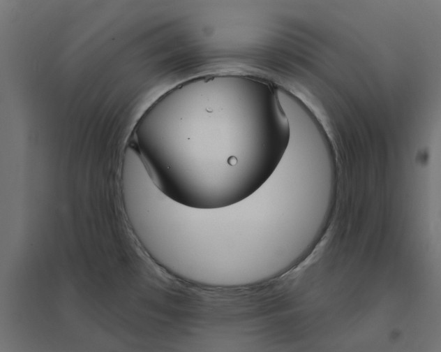 X0000094331481200711241818