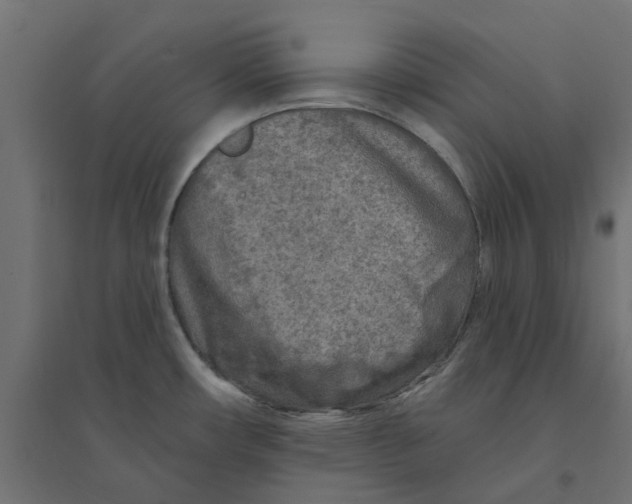 X0000094331482200711241818