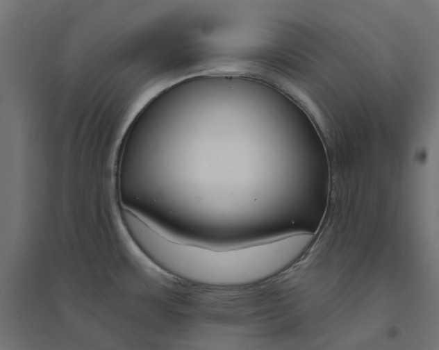 X0000094331483200711241818