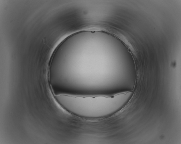 X0000094331484200711241818