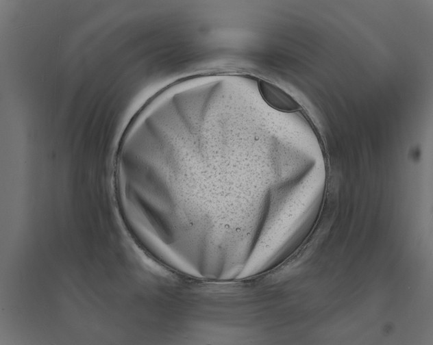 X0000094331486200711241818