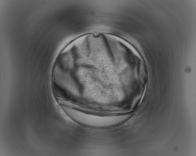 X0000094331488200711241818