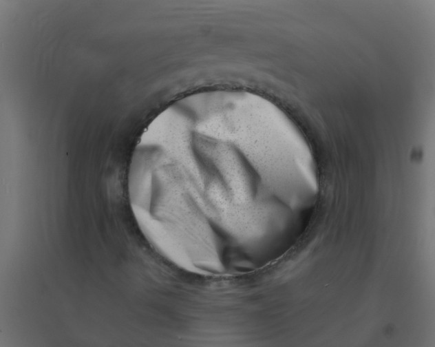 X0000094331490200711241817