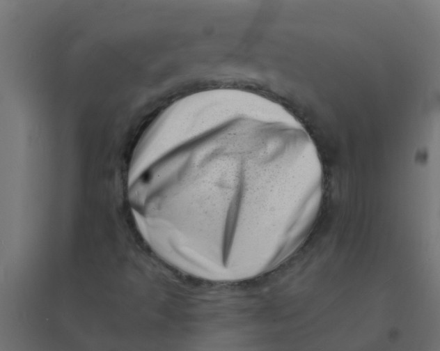 X0000094331493200711241817