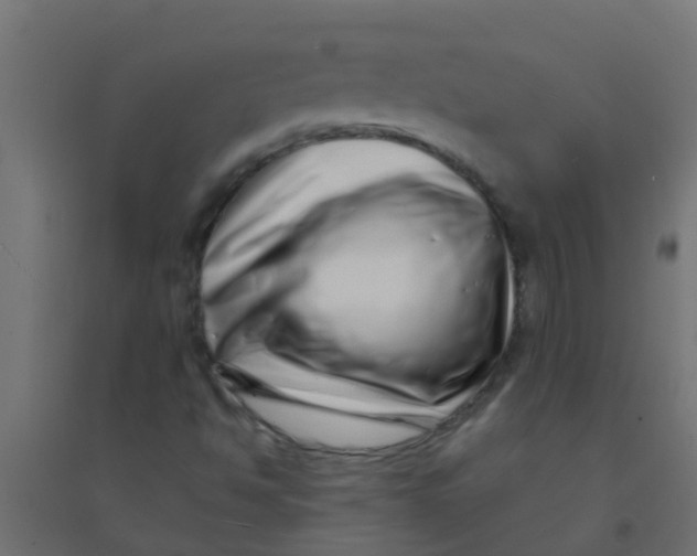 X0000094331494200711241817
