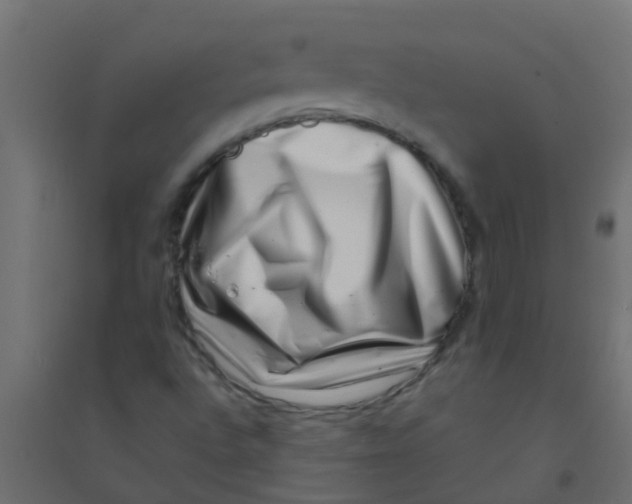 X0000094331496200711241817