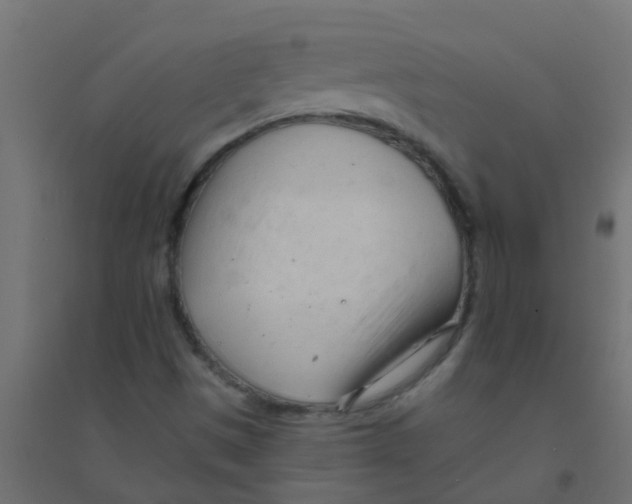 X0000094331497200711241817