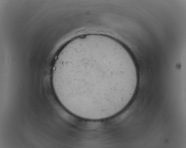 X0000094331498200711241817