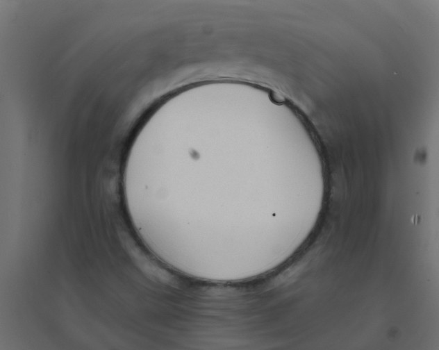 X0000094331499200711241817