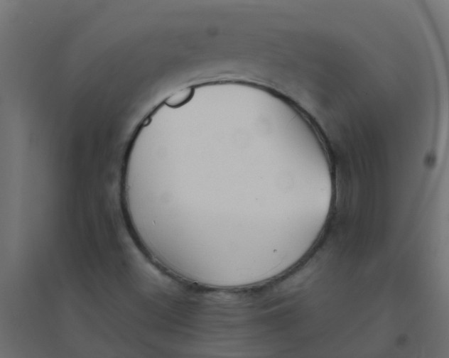 X0000094331500200711241817